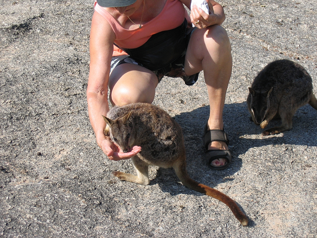 CairnsTC113 Granite Gorge.jpg